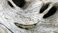 3700254146338_3.jpg